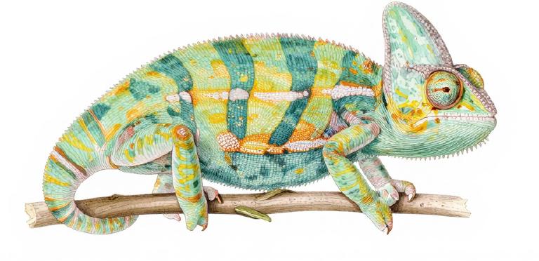 Cloudflare Innovates Again: Cryptographic Authentication for Bots (The End of Fake User-Agents)