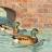 DuckDB y httpfs detrás de un proxy: el secreto que nadie te cuenta