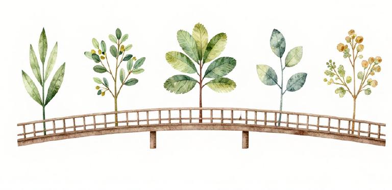 European Accessibility Forum