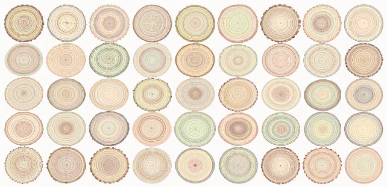 JSONPath: The XPath We Needed for JSON