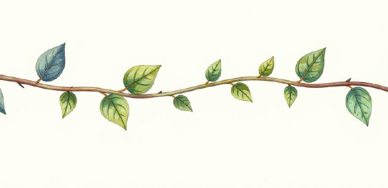 MCP for Skeptics: Why the Model Context Protocol is Worth It (even if it doesn't seem like it)