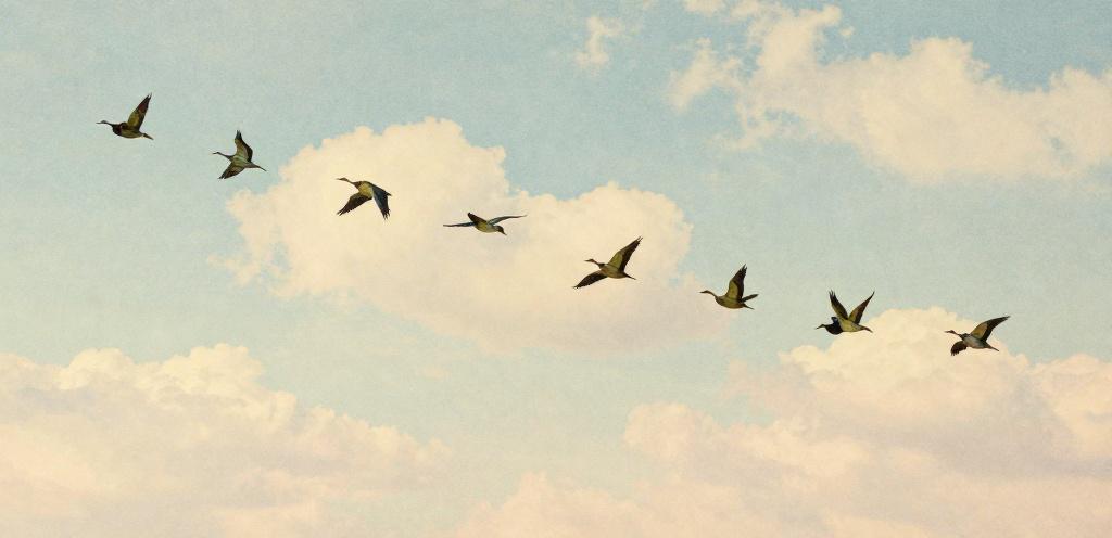 Migración a Netlify
