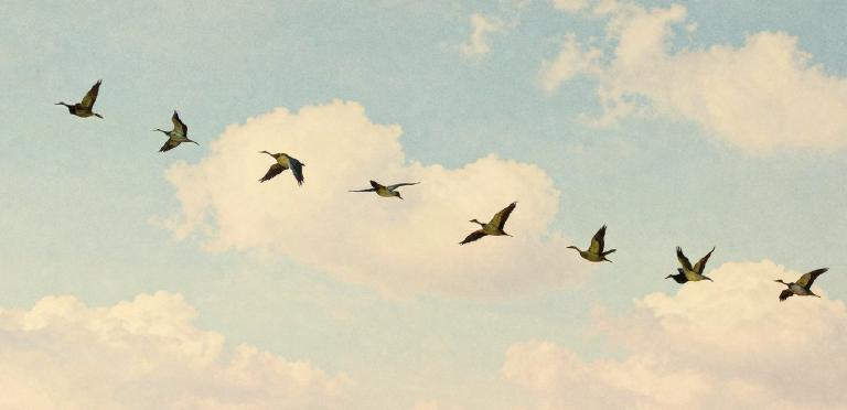 Migration to Netlify