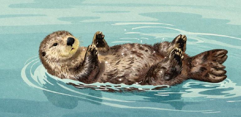 One day I'll discover what the comfort zone is, or not 