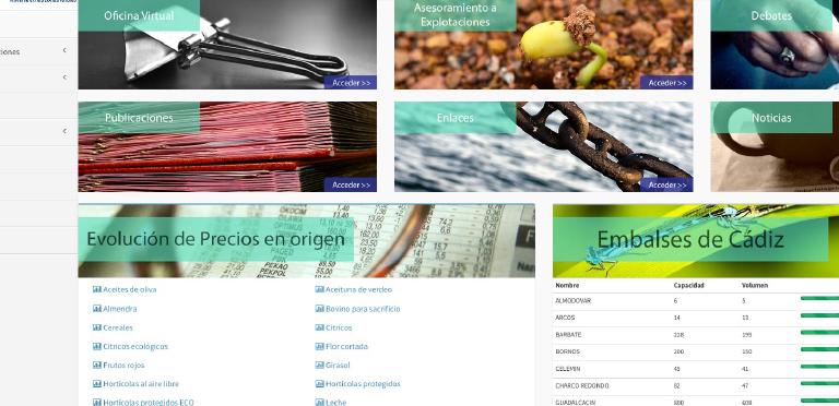 Management Portal