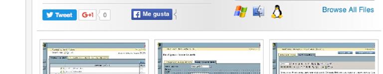 MorcegoCMS