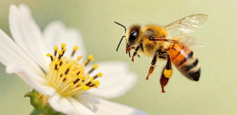 Una reflexión sin más