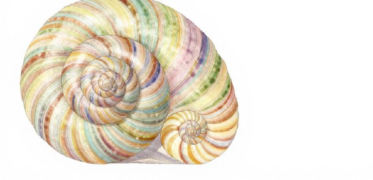 Self-Improving Agents: Cuando la IA empieza a mejorarse a sí misma