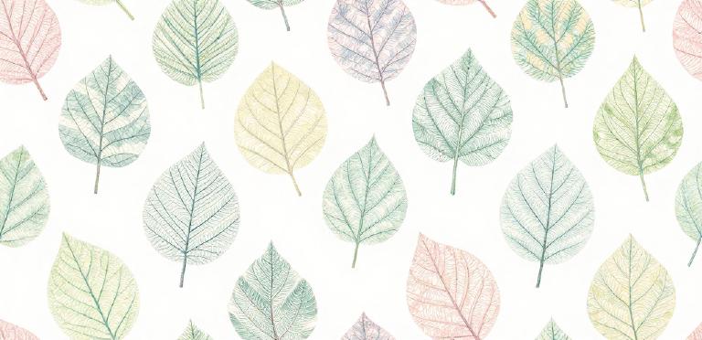 Twig, el sistema de plantillas definitivo
