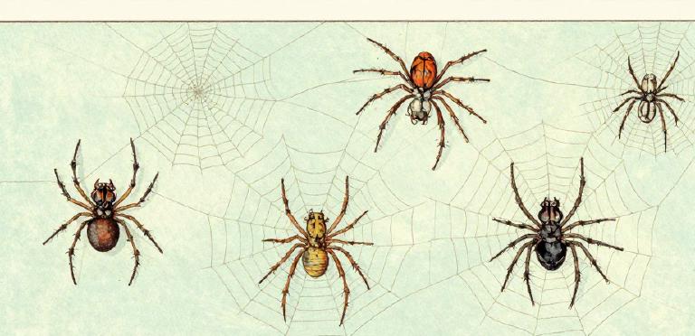 View the 10 IPs with the most access