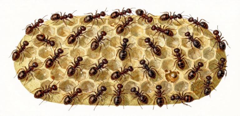 Walmart y el futuro agéntico: Cómo el gigante retail está revolucionando las compras con agentes de IA autónomos